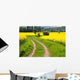 Rape Field Wall Decal Design 1