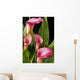 Pink Calla Lilies Wall Decal