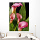 Pink Calla Lilies Wall Decal