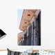 New Orleans Wall Decal