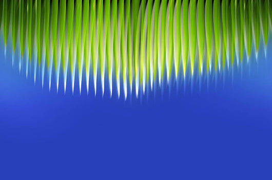 Palm Fringe Wall Decal