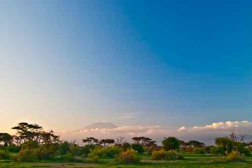Kilimanjaro Sunrise Wall Decal