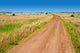 Dirt Road Wall Decal Design 3