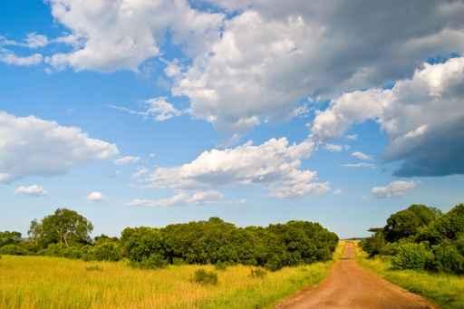 Dirt Road Wall Decal Design 2