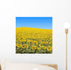 Sunflower Field Wall Decal