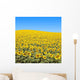 Sunflower Field Wall Decal