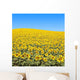 Sunflower Field Wall Decal