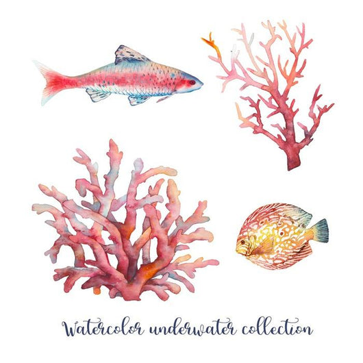 Watercolor Nautical Coral Wall Decal Sticker Set