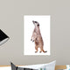 Meerkat or Suricate White Wall Decal