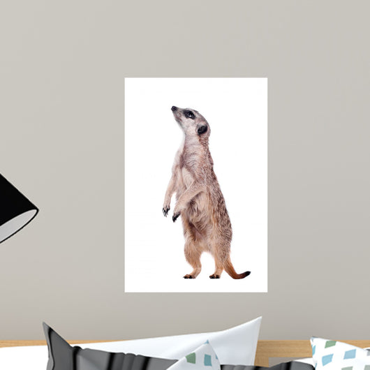 Meerkat or Suricate White Wall Decal