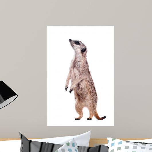 Meerkat or Suricate White Wall Decal