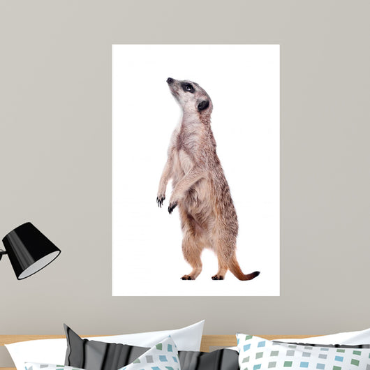 Meerkat or Suricate White Wall Decal