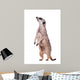Meerkat or Suricate White Wall Decal