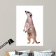 Meerkat or Suricate White Wall Decal