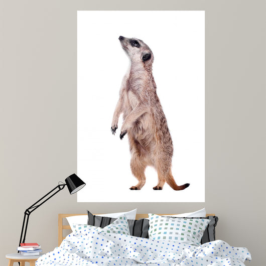 Meerkat or Suricate White Wall Decal