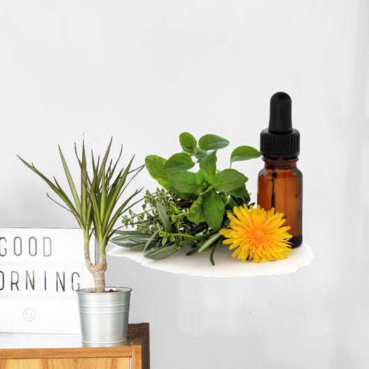 Herb Therapy Wall Decal
