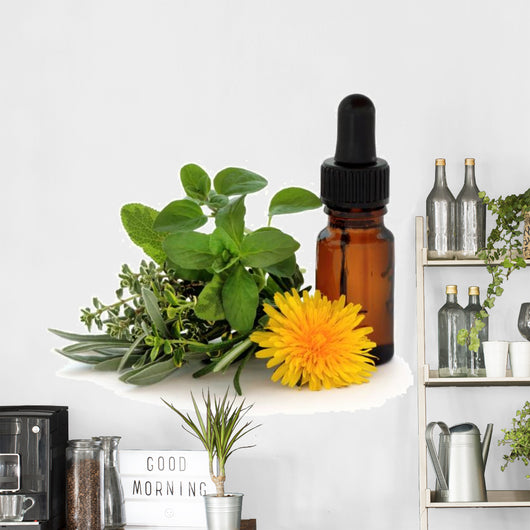 Herb Therapy Wall Decal