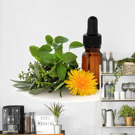 Herb Therapy Wall Decal
