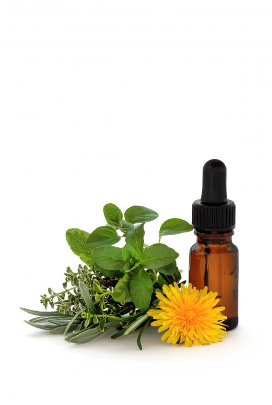 Herb Therapy Wall Decal