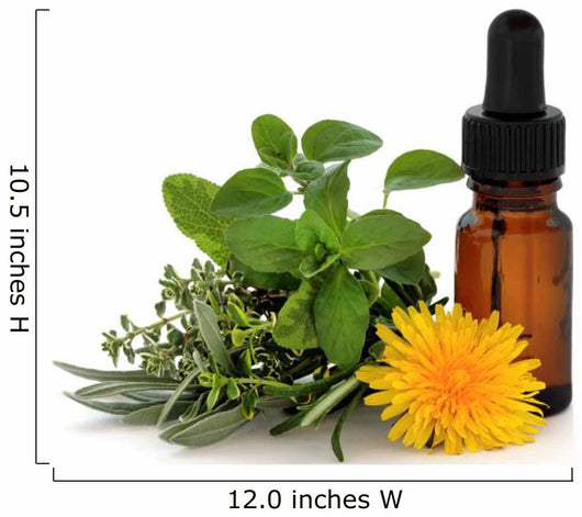 Herb Therapy Wall Decal