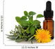 Herb Therapy Wall Decal