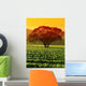 Large Tree Vineyard Wall Decal
