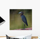 Little Blue Heron Wall Decal