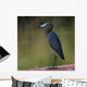Little Blue Heron Wall Decal