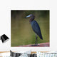 Little Blue Heron Wall Decal