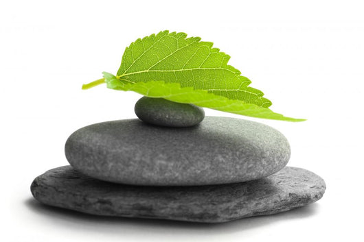 Tree Leaf Stone and Wall Decal