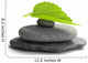Tree Leaf Stone and Wall Decal
