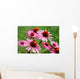 Echinacea Wall Decal