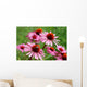 Echinacea Wall Decal
