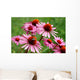 Echinacea Wall Decal