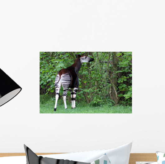 Okapi Wall Decal