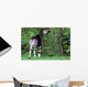 Okapi Wall Decal