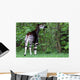 Okapi Wall Decal