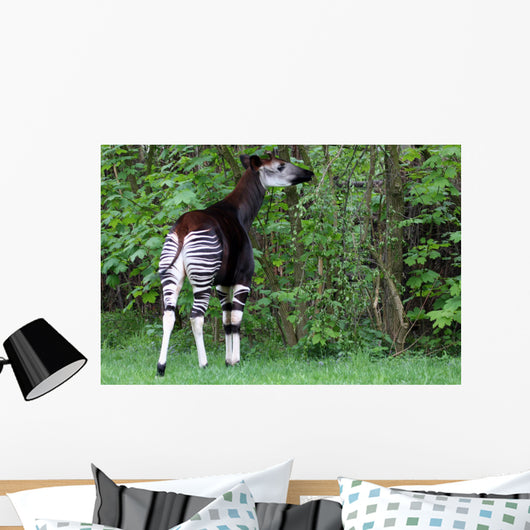 Okapi Wall Decal