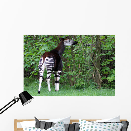 Okapi Wall Decal