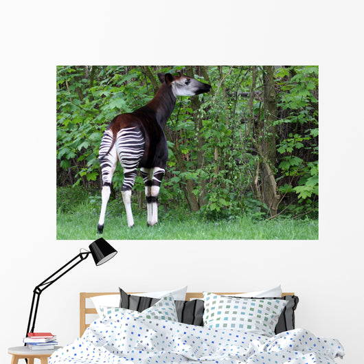 Okapi Wall Decal