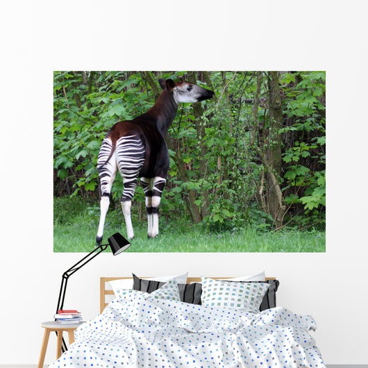 Okapi Wall Decal