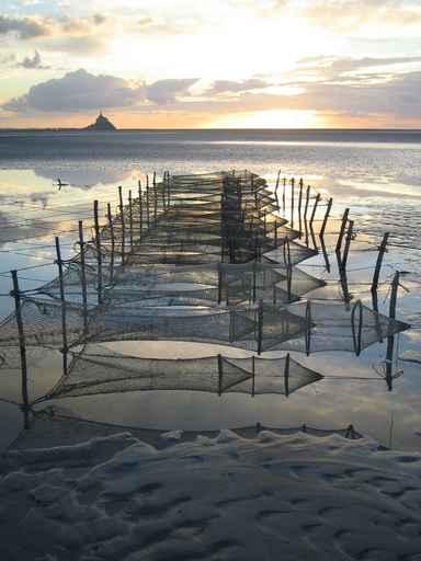 Mont Saint Michel Wall Decal Design 1