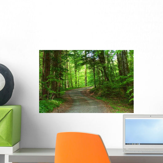 Country Road Spring Q Wall Decal