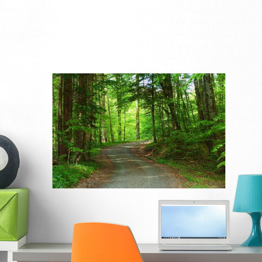 Country Road Spring Q Wall Decal