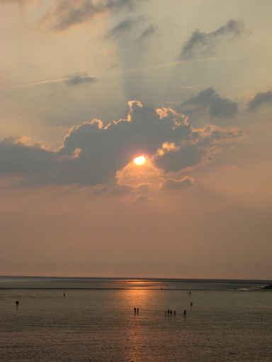 Sunset over Sea Wall Decal
