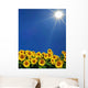 Sunflowers Plein Soleil Wall Decal