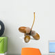 Acorns Wall Decal