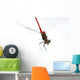 Dragonfly Wall Decal