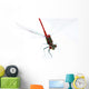 Dragonfly Wall Decal