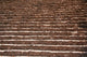 Ancient Steps Wall Decal